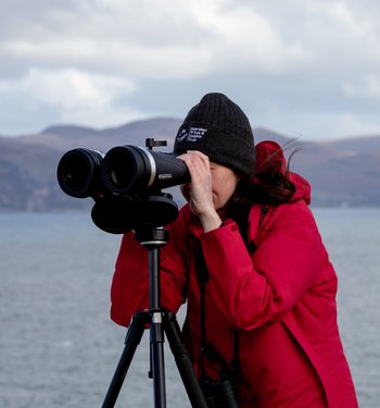 Hebridean Whale and Dolphin Trust